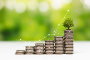 Environmental, Social and Governance (ESG)  And Financial  Sustainability