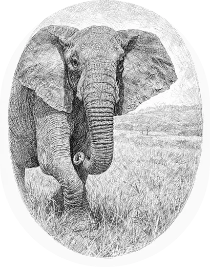 Twenty Shillings Feature Front